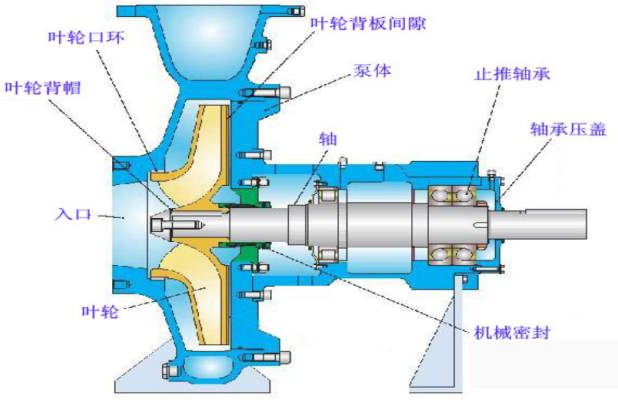 離心泵結(jié)構(gòu)圖