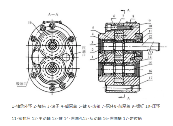 齒輪泵的結(jié)構(gòu)圖